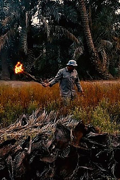 Ghost of The Fallah (2020) poster