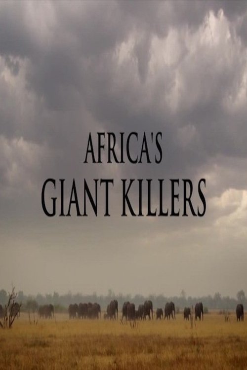 Africa's Giant Killers (2014) poster