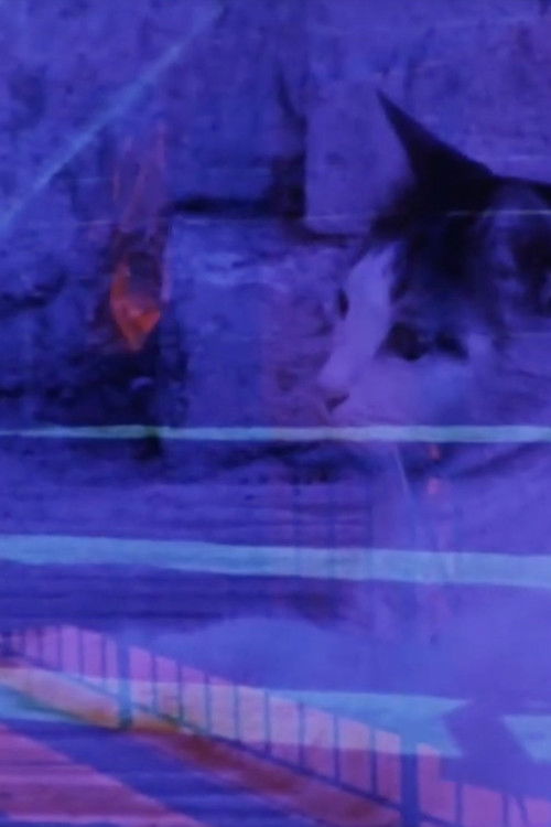 Austerity Measures (2012) poster