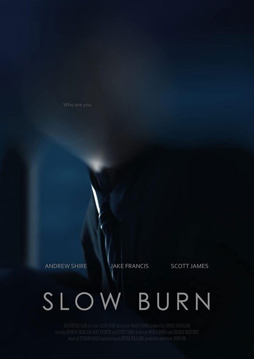 Slow Burn (2017) poster