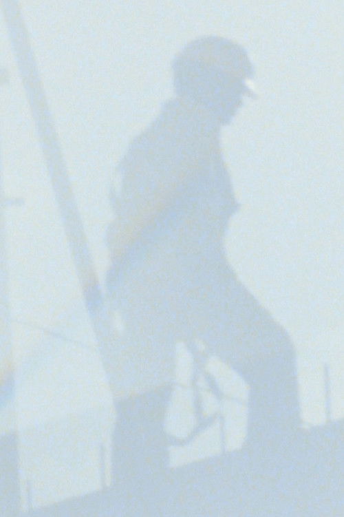 Low Visibility (2019) poster