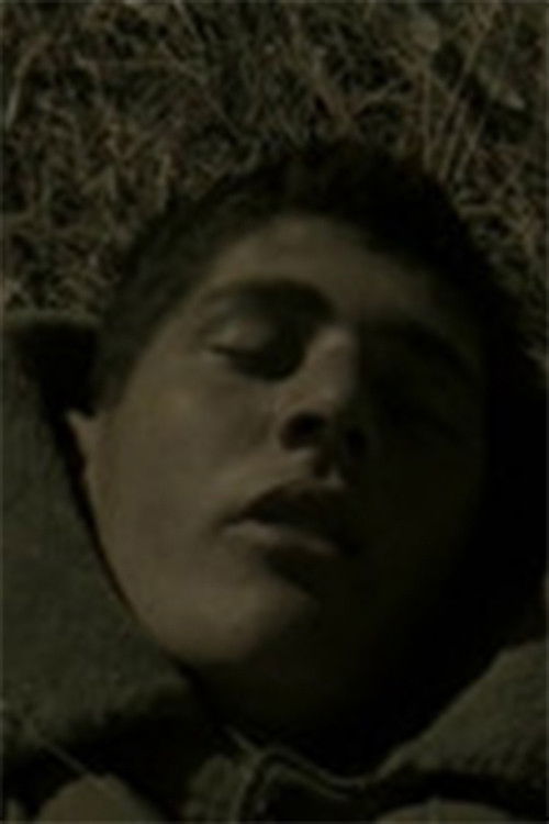 A Soldier's Dream (1995) poster