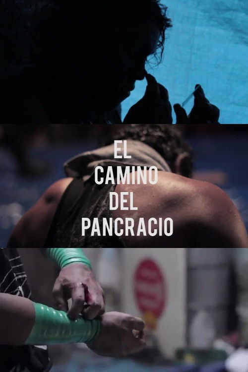 El camino del Pancracio (2015) poster