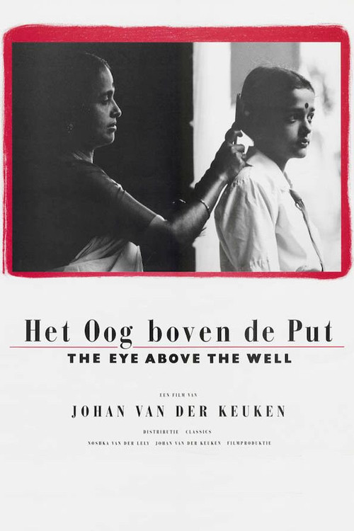 The Eye Above the Well (1988) poster