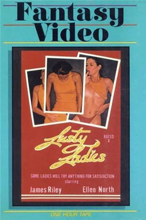 Lusty Ladies (1978) poster