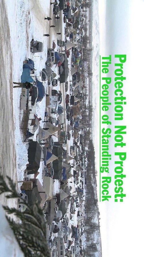 Protection Not Protest: The People of Standing Rock (2016) poster
