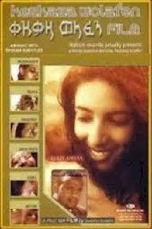 ቀዝቃዛ ወላፈን (2003) poster