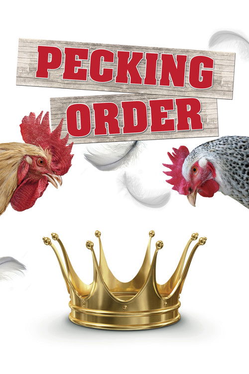 Pecking Order (2017) poster