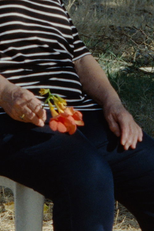 As Time Passes (2022) poster