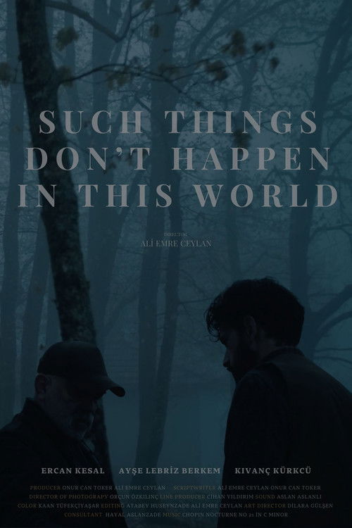 Such Things Don’t Happen in This World (2024) poster