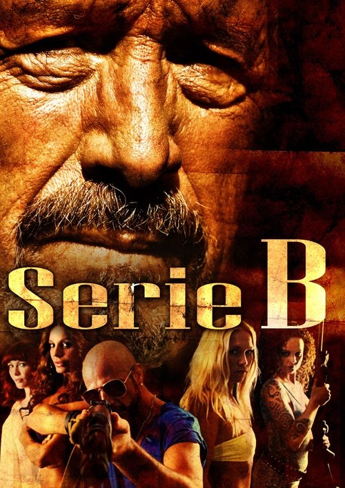 Serie B (2013) poster