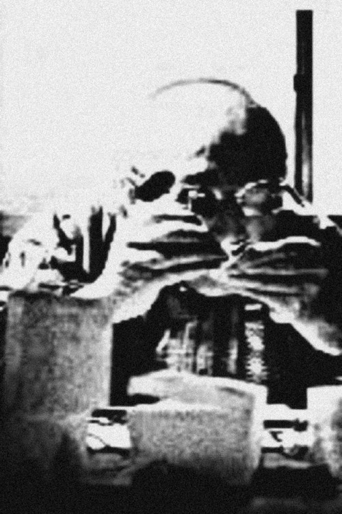 Assassination (1996) poster