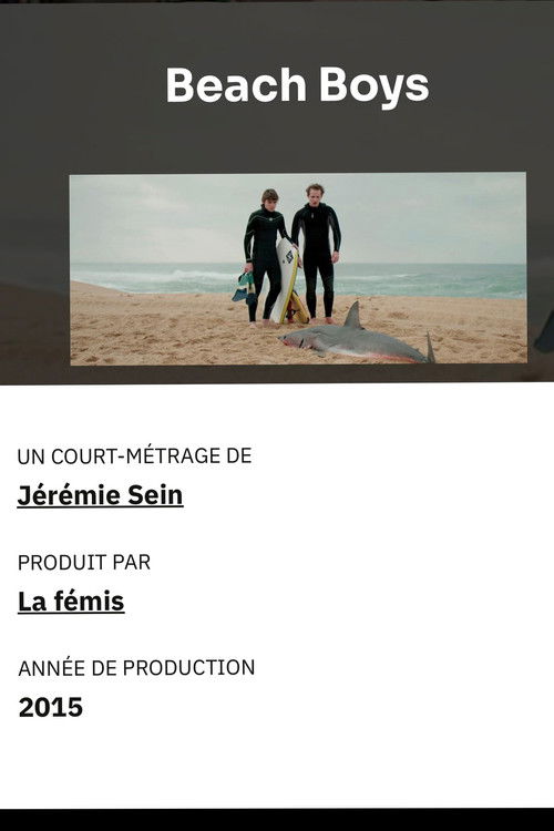 Beach Boys (2016) poster