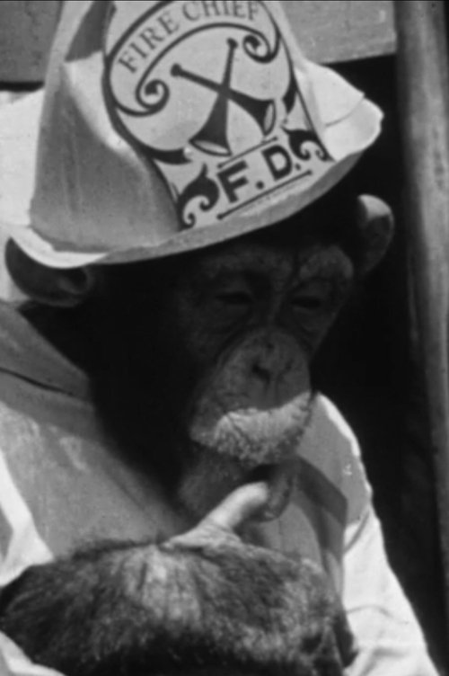 The Rookie Fireman (1936) poster