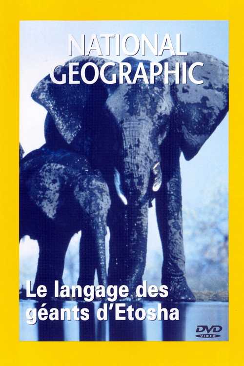 Elephants : Giants of Etosha (2000) poster