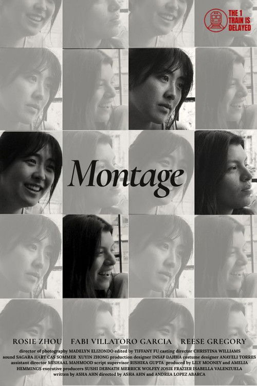 Montage poster