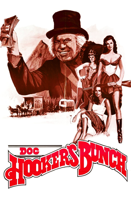 Doc Hooker's Bunch (1978) poster