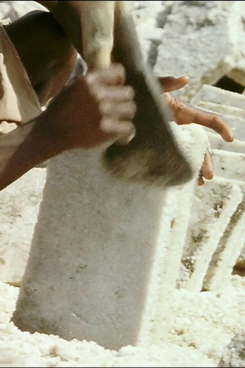 Salt (1968) poster