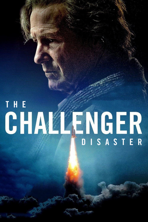 Challenger Faciası (2013) poster