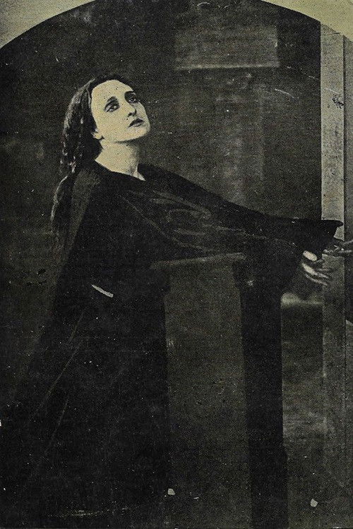 The Thirteenth Man (1917) poster