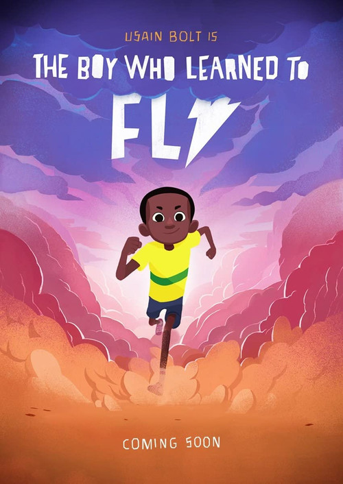 The Boy who Learned to Fly (2015) poster