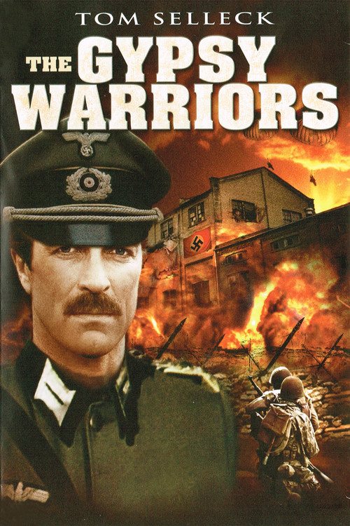The Gypsy Warriors (1978) poster