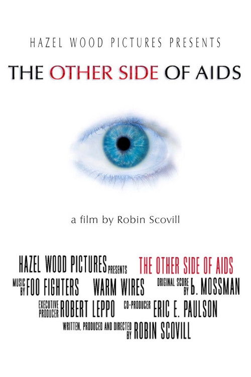 The Other Side of AIDS (2004) poster