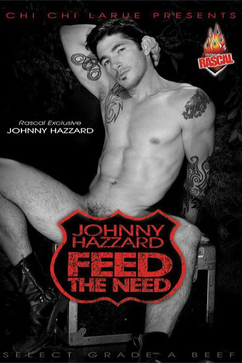 Johnny Hazzard: Feed the Need (2007) poster