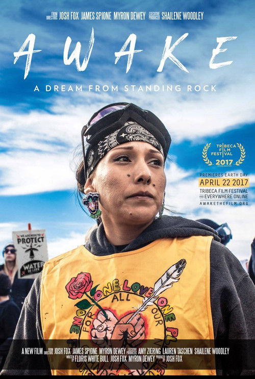Awake, a Dream from Standing Rock (2017) poster