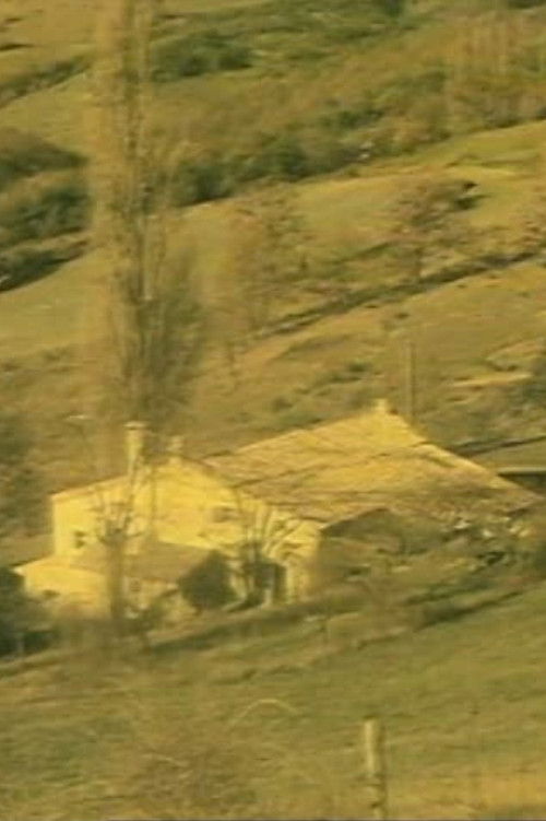 Like a Fox (1988) poster