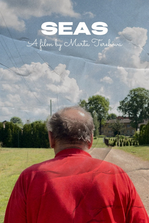Seas (2025) poster