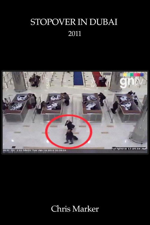 Stopover in Dubai (2011) poster