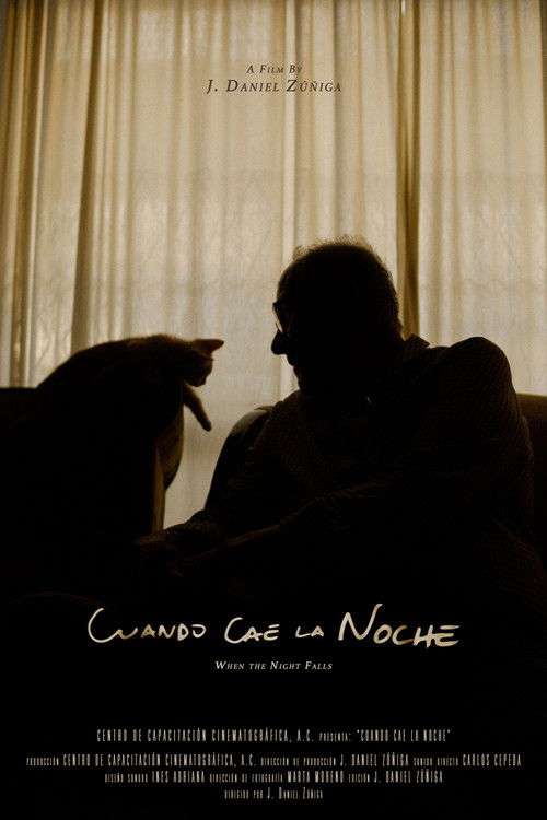 When The Night Falls (2022) poster