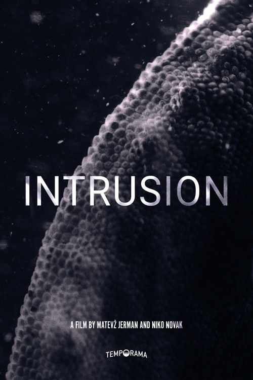 Intrusion (2021) poster