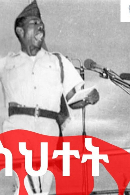 ቀይ ስህተት (2010) poster