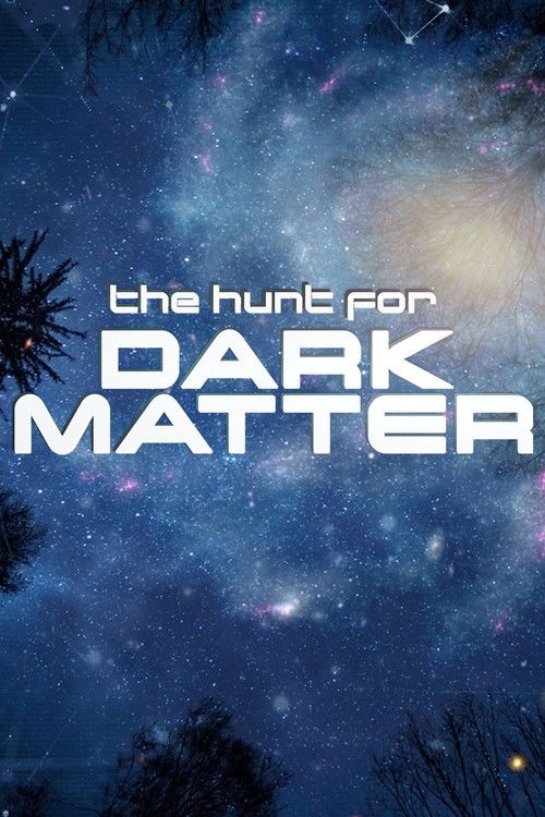 The Hunt for Dark Matter (2017) poster