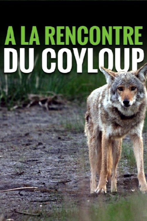 A la rencontre du coyloup (2013) poster