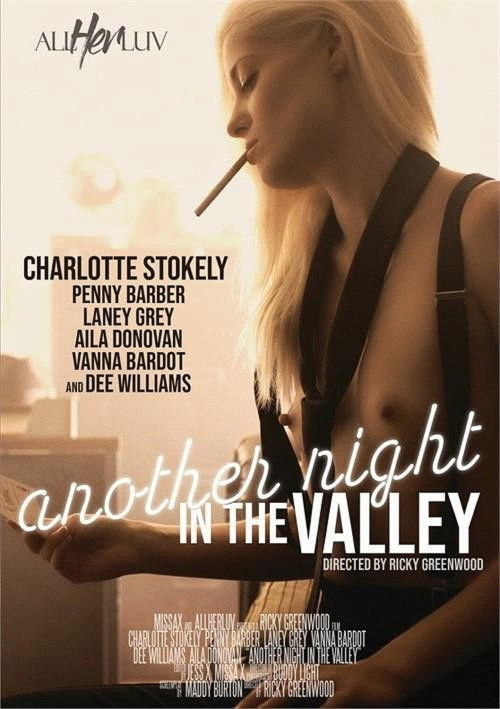 Another Night in the Valley (2021) poster