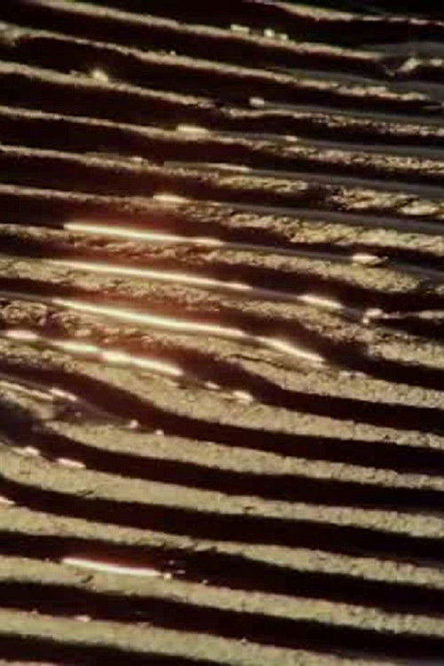 Sables (1969) poster