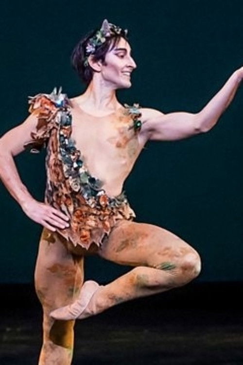 Royal Ballet All-Star Gala (2020) poster