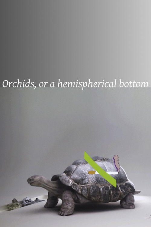 Orchids, or a hemispherical bottom (2013) poster