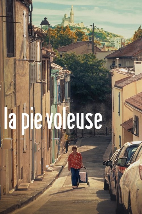 La Pie voleuse (2025) poster
