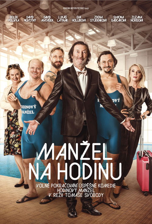 Manžel na hodinu (2016) poster