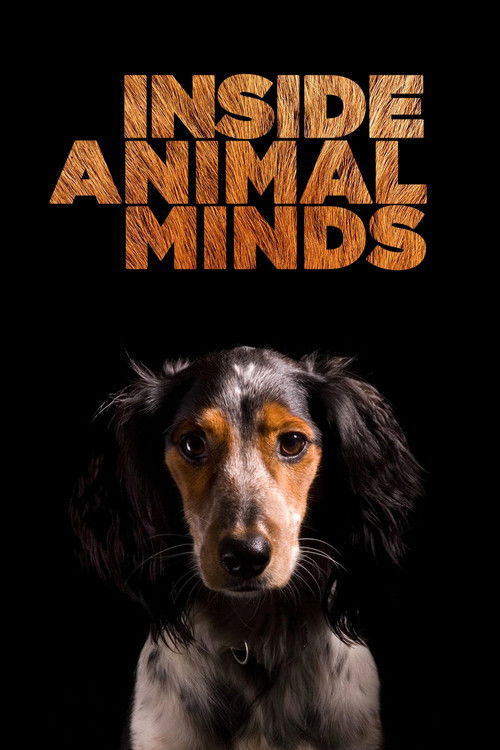 Inside Animal Minds (2014) poster