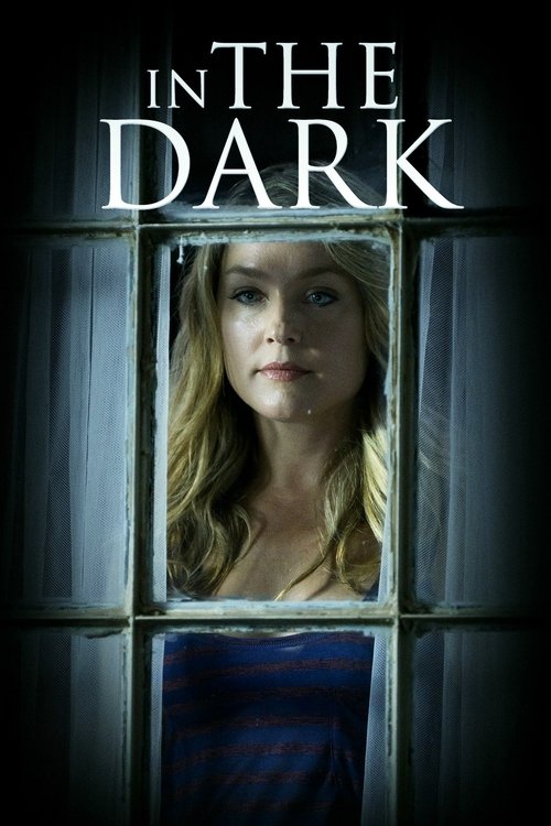 In the Dark (2013) poster