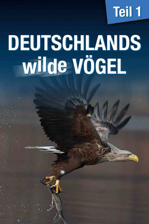 Deutschlands wilde Vögel (2013) poster