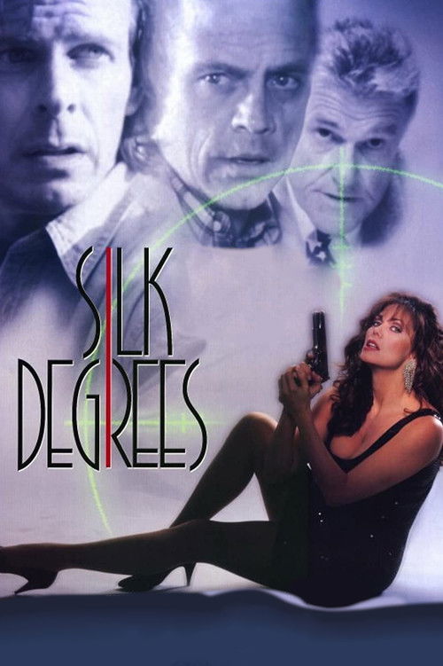 Silk Degrees (1994) poster