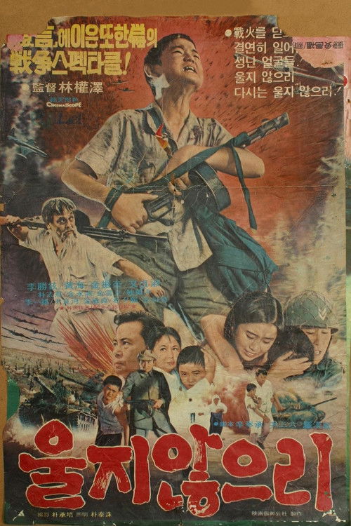 울지 않으리 (1974) poster