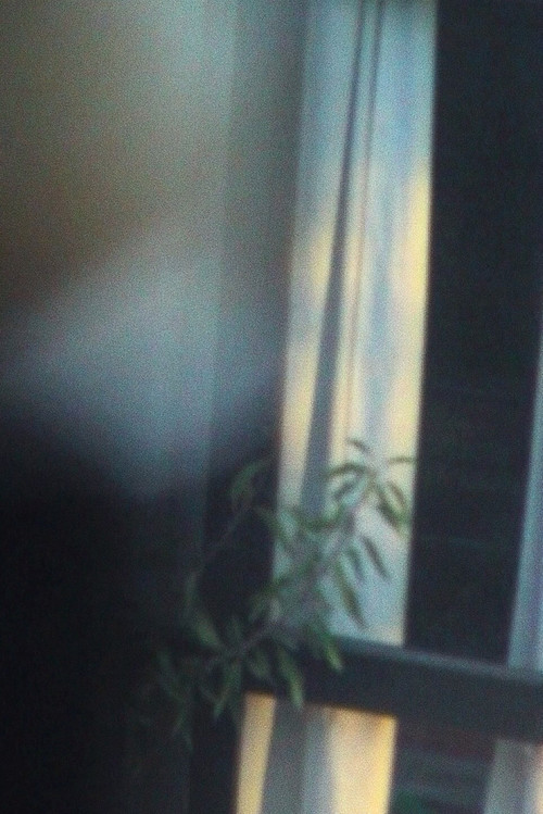 3ra, 4ta (2017) poster