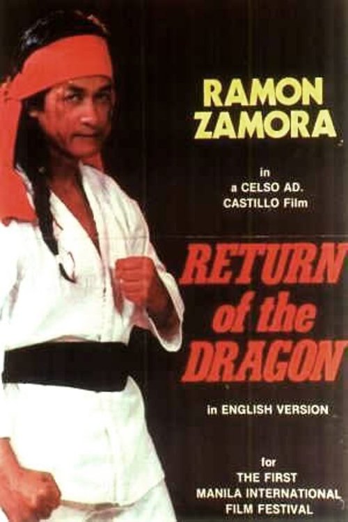 Return of the Dragon (1974) poster